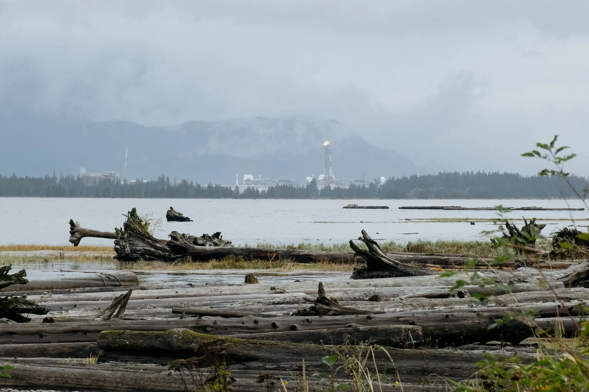 Як зміна клімату втратила вагу у виборчій кампанії Канади: чому екологічні виклики відходять на другий план перед загрозою з боку Дональда Трампа